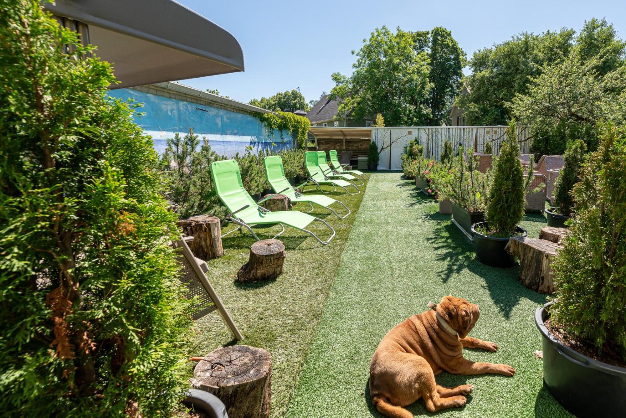 Garden Camping Tallinn Luaran gambar