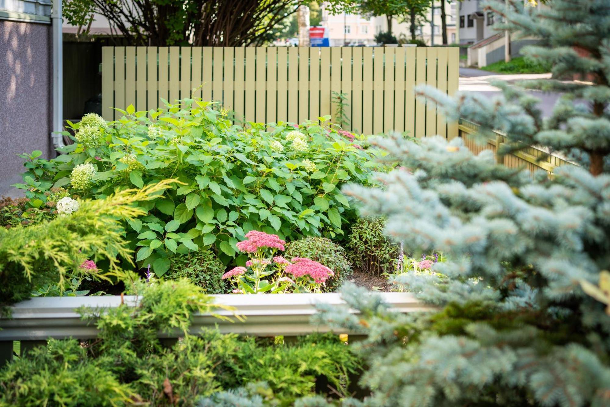 Garden Camping Tallinn Luaran gambar
