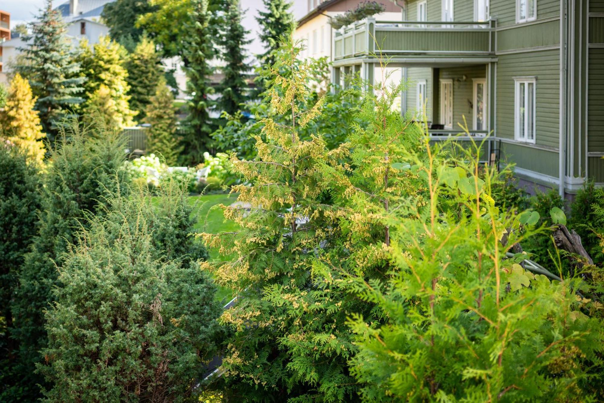 Garden Camping Tallinn Luaran gambar