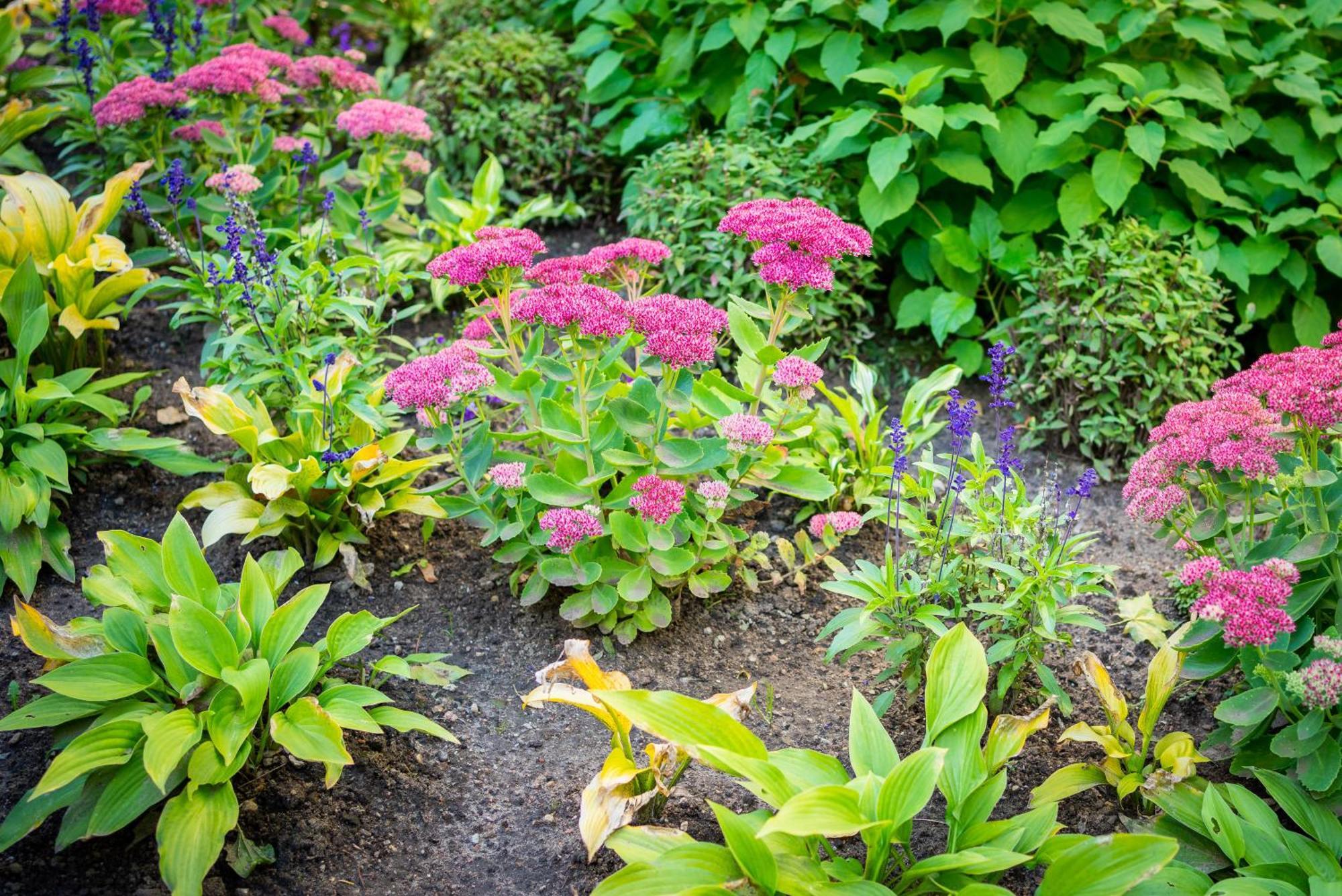 Garden Camping Tallinn Luaran gambar