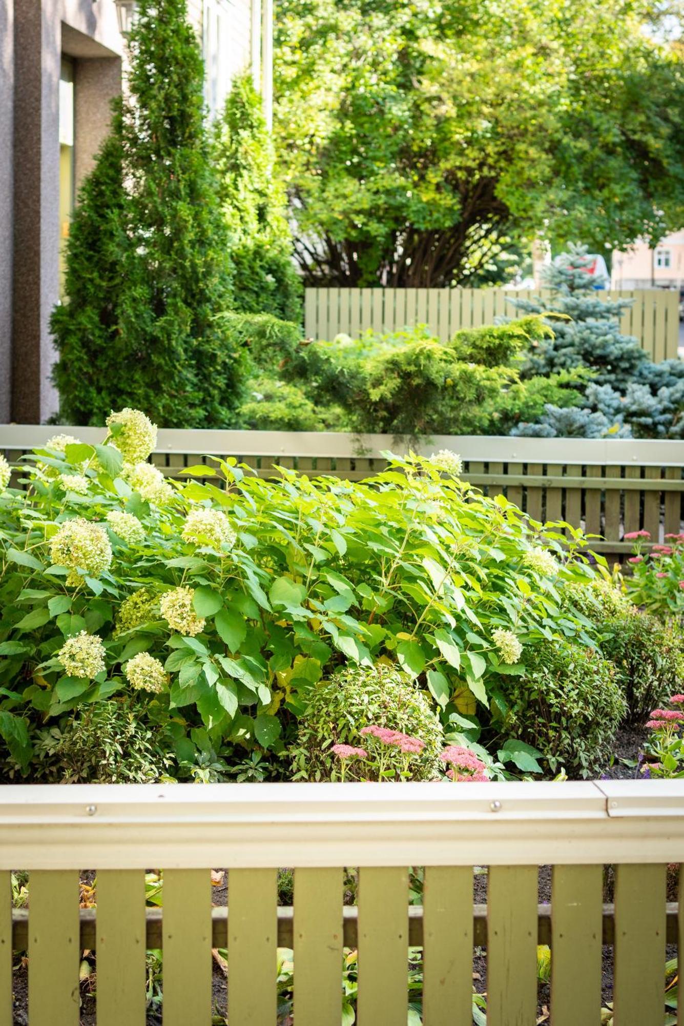 Garden Camping Tallinn Luaran gambar