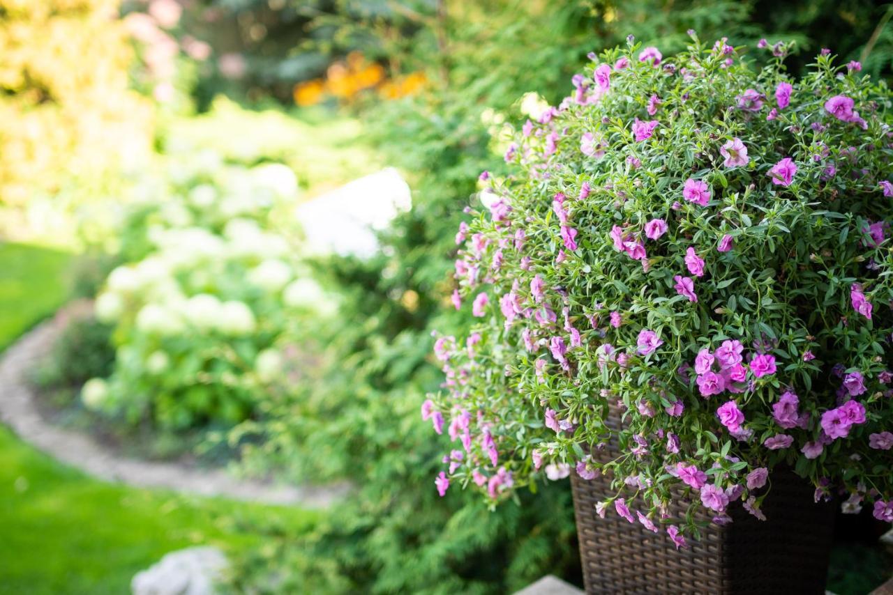 Garden Camping Tallinn Luaran gambar
